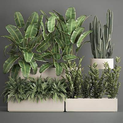 现代盆栽盆景 植物景观 绿植摆件